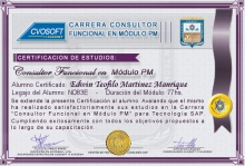 Certificación en Carrera Consultor SAP PM