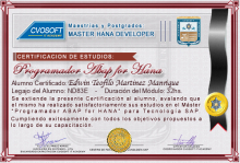 Certificación en Master ABAP for HANA