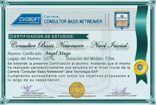 Certificación de estudios en Carrera Consultor SAP BASIS NetWeaver Nivel Inicial