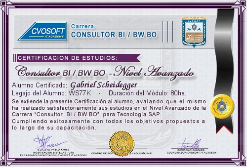 Certificación de estudios en Carrera Consultor SAP BI / BW BO Nivel Avanzado