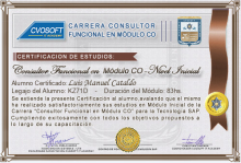 Certificación en Carrera Consultor SAP CO Nivel Inicial