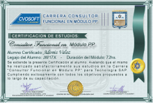 Certificación en Carrera Consultor SAP PP