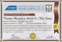 Certificación en Carrera Consultor SAP CO Nivel Inicial