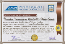Certificación en Carrera Consultor SAP CO Nivel Inicial