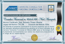 Certificación en Carrera Consultor SAP MM Nivel Avanzado