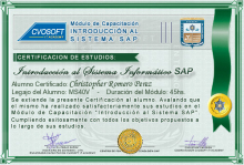 Certificación en Curso Introducción SAP