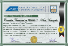 Certificación en Carrera Consultor SAP FI Nivel Avanzado