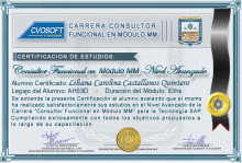 Certificación en Carrera Consultor SAP MM Nivel Avanzado