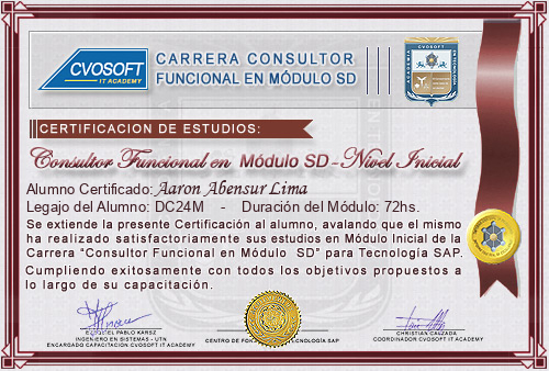 Certificación de estudios en Carrera Consultor SAP SD Nivel Inicial