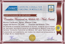 Certificación en Carrera Consultor SAP SD Nivel Inicial