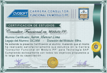 Certificación en Carrera Consultor SAP PP