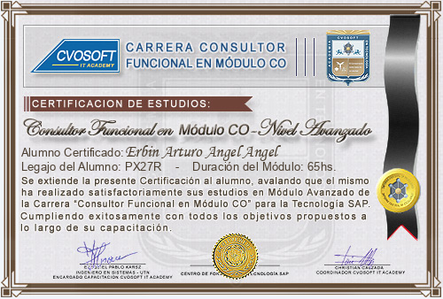 Certificaci�n de estudios en Carrera Consultor SAP CO Nivel Avanzado