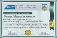 Certificación en Carrera Consultor SAP PP