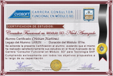 Certificación en Carrera Consultor SAP SD Nivel Avanzado