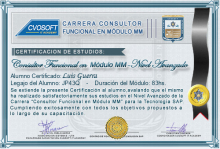 Certificación en Carrera Consultor SAP MM Nivel Avanzado