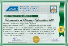 Certificación en Curso Introducción SAP