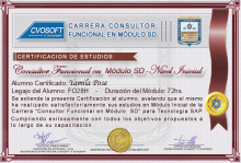 Certificación en Carrera Consultor SAP SD Nivel Inicial