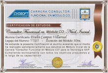 Certificación en Carrera Consultor SAP CO Nivel Inicial