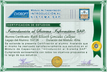 Certificación en Curso Introducción SAP
