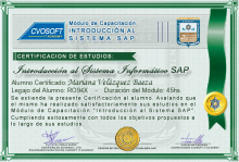Certificación en Curso Introducción SAP
