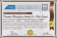 Certificación en Carrera Consultor SAP CO Nivel Inicial