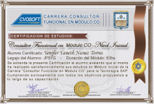 Certificación en Carrera Consultor SAP CO Nivel Inicial