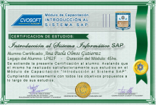 Certificación en Curso Introducción SAP