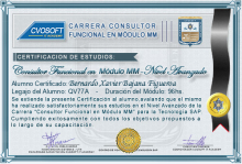 Certificación en Carrera Consultor SAP MM Nivel Avanzado