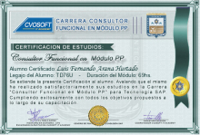 Certificación en Carrera Consultor SAP PP