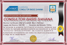 Certificación en Carrera Consultor SAP BASIS S/4HANA