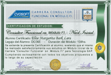 Certificación en Carrera Consultor SAP FI Nivel Inicial
