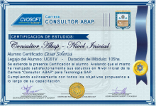Certificación en Carrera Consultor ABAP Nivel Inicial