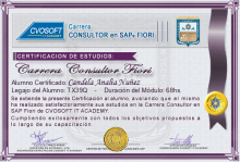 Certificación en Carrera Consultor SAP BTP Fiori