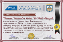 Certificación en Carrera Consultor SAP SD Nivel Avanzado