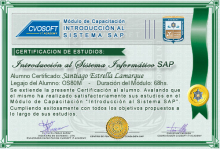 Certificación en Curso Introducción SAP