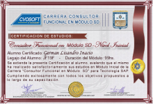 Certificación en Carrera Consultor SAP SD Nivel Inicial