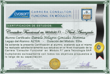 Certificación en Carrera Consultor SAP FI Nivel Avanzado