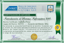 Certificación en Curso Introducción SAP