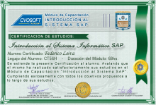 Certificación en Curso Introducción SAP