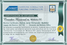 Certificación en Carrera Consultor SAP PP