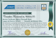 Certificación en Carrera Consultor SAP PP