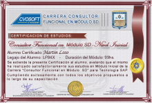 Certificación en Carrera Consultor SAP SD Nivel Inicial