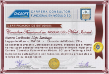 Certificación en Carrera Consultor SAP SD Nivel Inicial