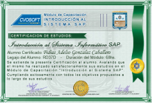 Certificación en Curso Introducción SAP