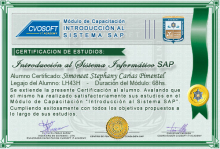 Certificación en Curso Introducción SAP