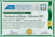 Certificación en Curso Introducción SAP
