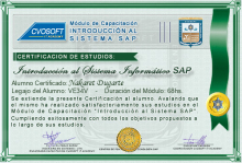 Certificación en Curso Introducción SAP