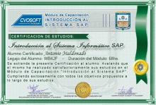 Certificación en Curso Introducción SAP