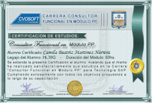 Certificación en Carrera Consultor SAP PP