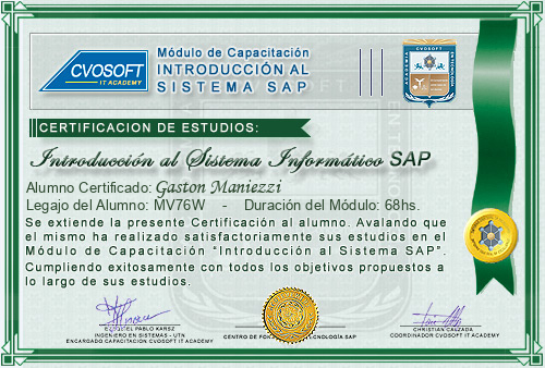 Certificaci�n de estudios en Curso SAP desde Cero